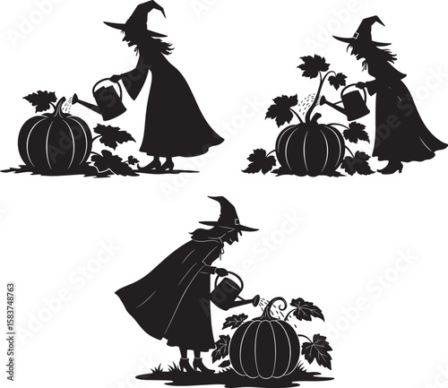 Witch watering pumpkin garden silhouette