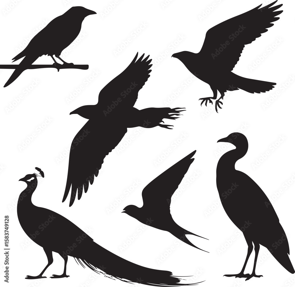 Obraz premium Black Bird Silhouettes Set - Flying, Perching, and Standing