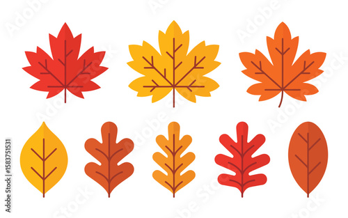 Colorful Flat Vector Collection of Autumn Leaves in Various Sizes and Shapes – Perfect for Seasonal Branding, Web Design, and Fall Festival Decorations and Creative Projects