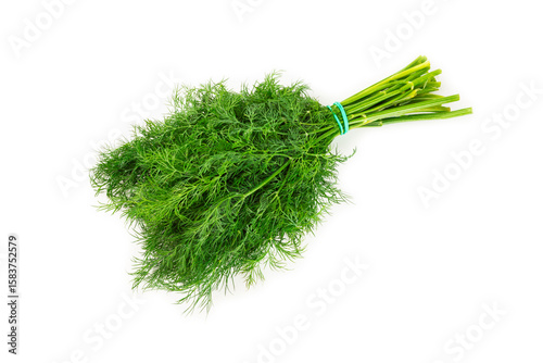 Fototapeta Naklejka Na Ścianę i Meble -  Dill isolated on white background. Fresh organic greens. Dill plantation. Dill leaves. Bunch of spring young dill. Vitamins. Fiber. Aromatic culinary spice.