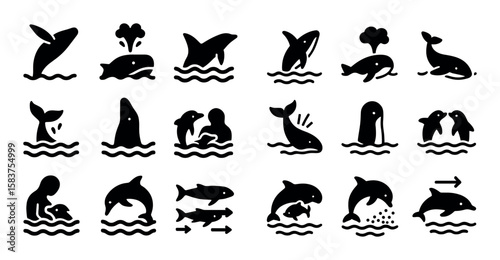 Marine Mammal Icon Grid