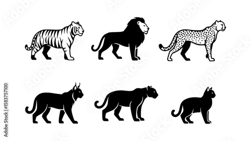 Six majestic big cats in black and white silhouettes, including tiger, lion, cheetah, lynx, cougar, and domestic cat. The image is perfect for representing wildlife, zoology, or nature themes.