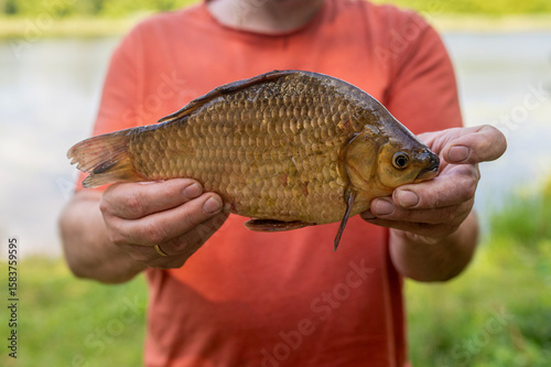 Male hands holding freshly caught fish close-up after river fishing