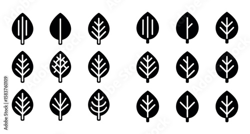 Leaf Vein Icons