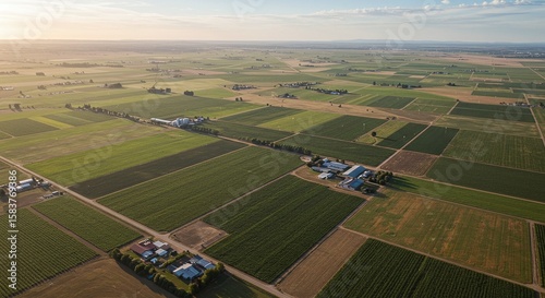 Aerial View of Green Agricultural Fields and Farm Buildings at Sunset
