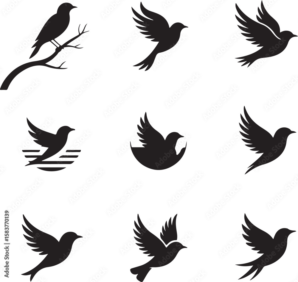 Obraz premium Silhouettes of birds in various poses and settings flying perched