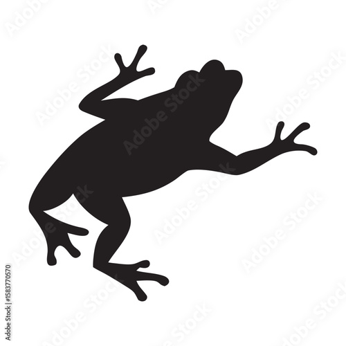silhouette frog jumping near pond