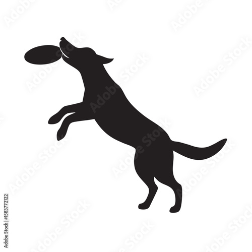 silhouette dog jumping to catch a frisbee