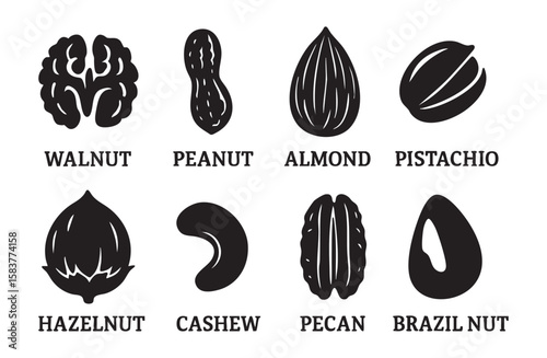 Set of Black silhouette icons of various nuts including walnut, peanut, almond, pistachio, hazelnut, cashew, pecan, and brazil nut, isolated on white background, graphic illustration