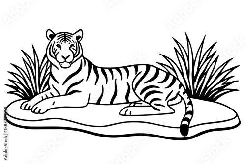 Tiger Resting at Waterhole Jungle Scene Line Artwork