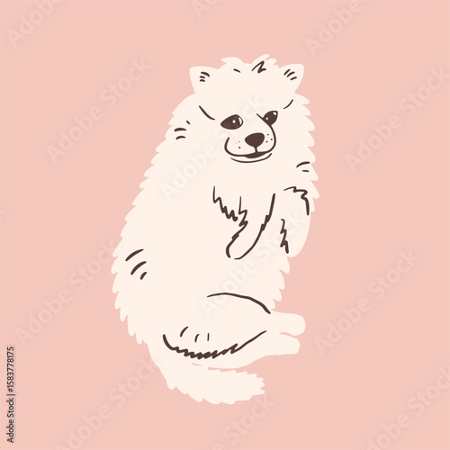 Japanese Spitz or Samoyed puppy. Cute white fluffy dog in hand drawn style
