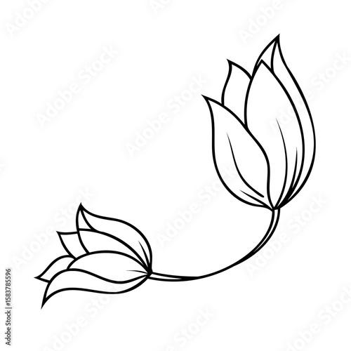 Outline floral with two flower heads leaves on a graphic