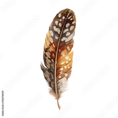feather isolated in White Background, feather vector, Flat lay vector illustration