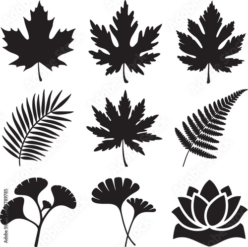 maple leaf oak leaf palm leaf fern ginkgo lotus silhouette art design illustration premium quality