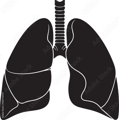 vector illustration of lungs