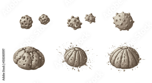 Depiction of various textured and porous spherical objects arranged in two rows on a white background