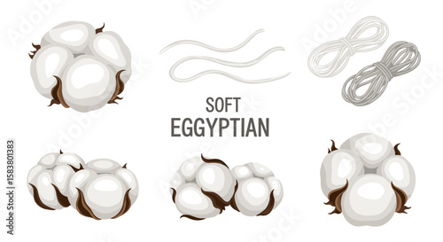 Illustration of cotton bolls, cotton threads and cotton yarn on a white background in a flat style
