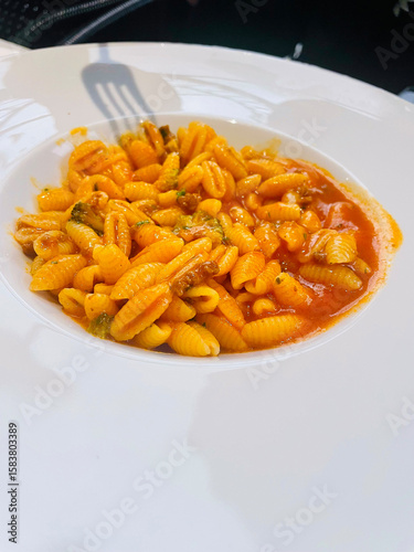 Traditional Sardinian pasta dish served in a white plate. The pasta, called malloreddus or gnocchetti sardi, is cooked with a rich tomato sauce and garnished with herbs