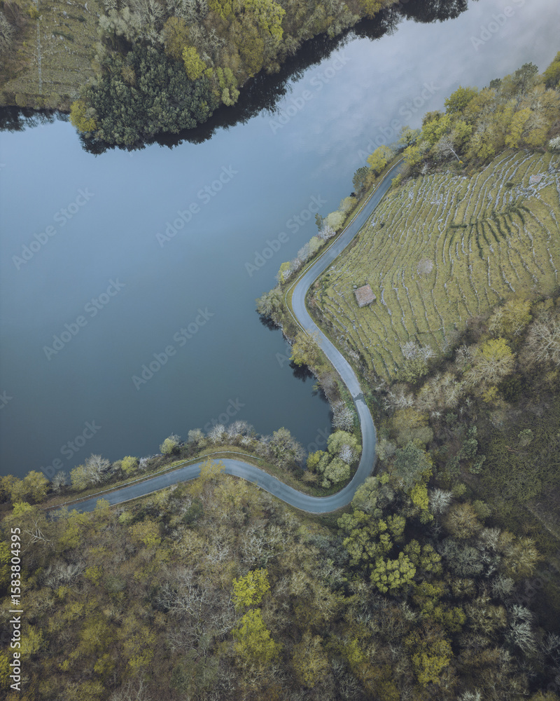Aerial view of the winding road hugging the dark blue river, the trees displaying a mosaic of greens and browns, creating a serene contrast., Lugo, Lugo, Spain. Aerial view of the winding road hugging the dark blue river, the trees displaying a mosaic of greens and browns, creating a serene contrast., Lugo, Lugo, Spain.