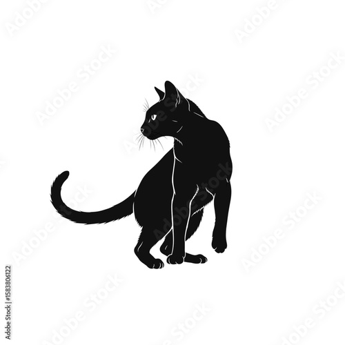 Silhouette of a black cat sitting and looking backward
