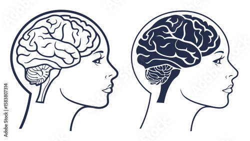 Two side profile illustrations showing human heads with brain anatomy in contrasting color schemes