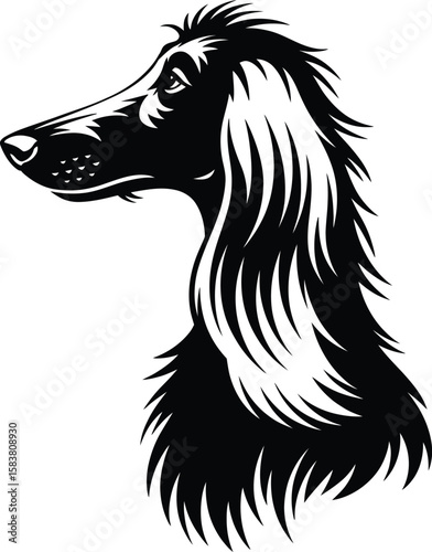 Vector silhouette of Afghan Hound head in side profile with flowing hair and elegant features on white background
