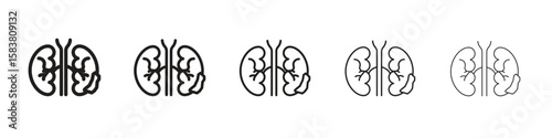 Kidney disease icon with editable stroke eps 10 vector illustration. Outline drawing.
