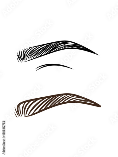 Stylized Eyebrows Set for Beauty, Makeup, and Eyebrow Shaping Concepts