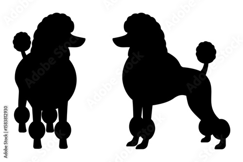 poodle dog silhouette set Vector illustration