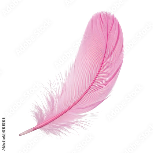 Elegant pink feather floats gently against a dark backdrop, its detailed barbs and rachis creating a soft and airy texture ideal for design projects, transparent background