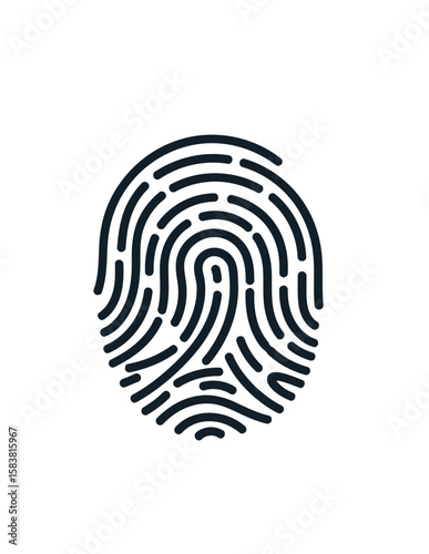 A simplified, isolated fingerprint illustration, showcasing unique dermal ridge patterns on white background.
