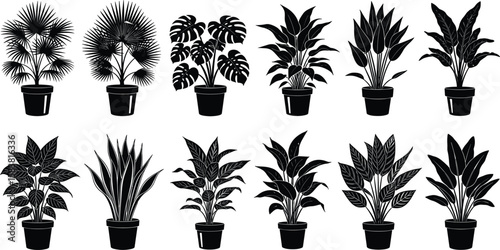 Black silhouette indoor potted plants, tropical houseplant icons, modern botanical clipart, vector illustration, foliage set for nature decor, design