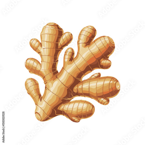 ginger root