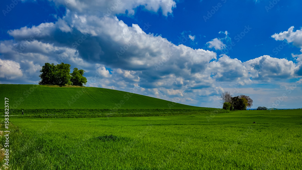 Obraz premium Amazing rural landscape. Green hill curving under a blue sky filled with clouds near by Meersburg in Germany.