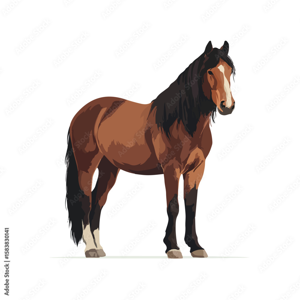 Fototapeta premium horse isolated in White Background, horse vector, Flat lay vector illustration