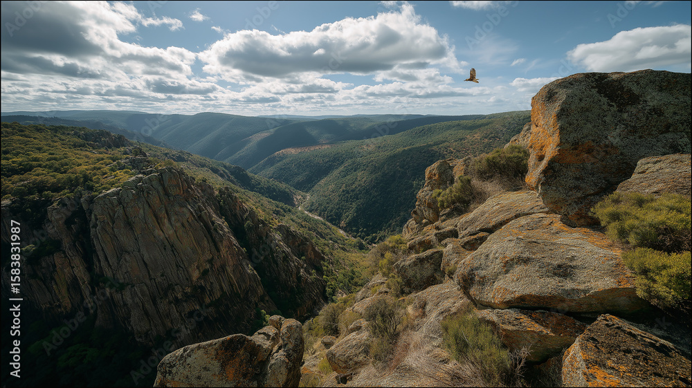 Obraz premium Weathered Cliff Edge with Mossy Boulders and Soaring Falcon Above Deep Canyon – beautiful image, nature view, real look