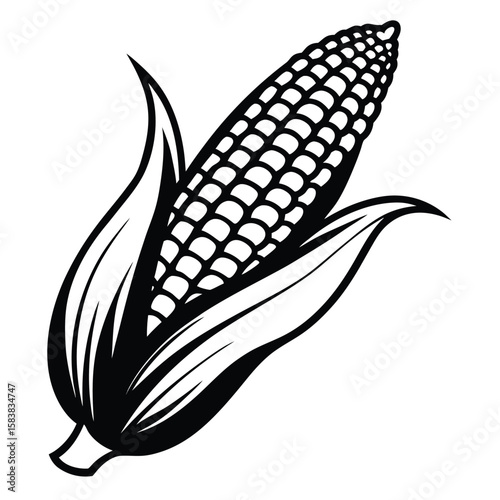 Stylized black and white corn cob with leaves isolated on white background