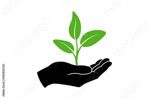 Hand holding plant sprout growth and environment