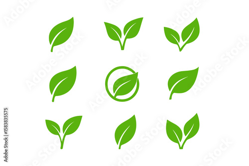 Eco Leaf Icon Set – Green Leaf Symbols, Nature Elements, Environmental Conservation, Sustainable Energy, Organic Product, Botanical Design, Clean Energy, Vector Illustration, Transparent Background