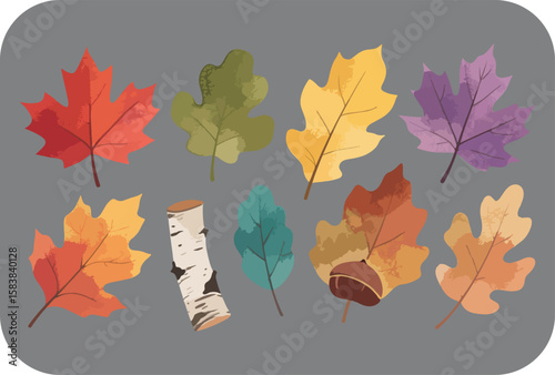 A collection of colorful autumn leaves in various shapes and shades of red orange yellow purple and green along with a birch tree trunk and an acorn on a neutral gray background