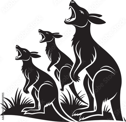 Three kangaroos roaring in grass marsupial animal