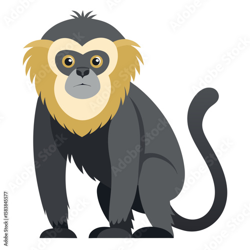 Gibbon monkey sitting with a serious expression on white background  