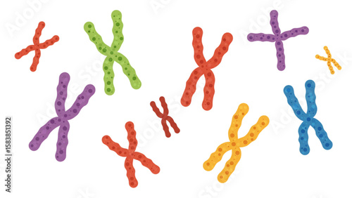 Colorful chromosome set featuring scientific designs for biology education or medical research illustrations about genetics and cellular biology