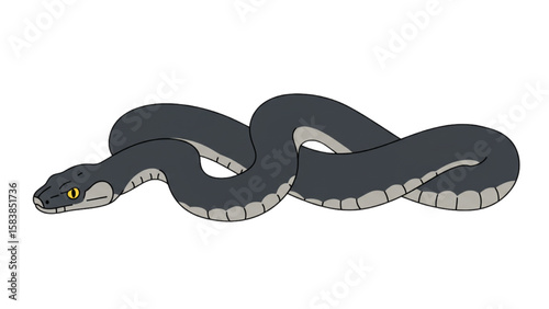 A sleek and modern snake design element, perfect for reptile enthusiasts or use in educational material about wildlife and nature.