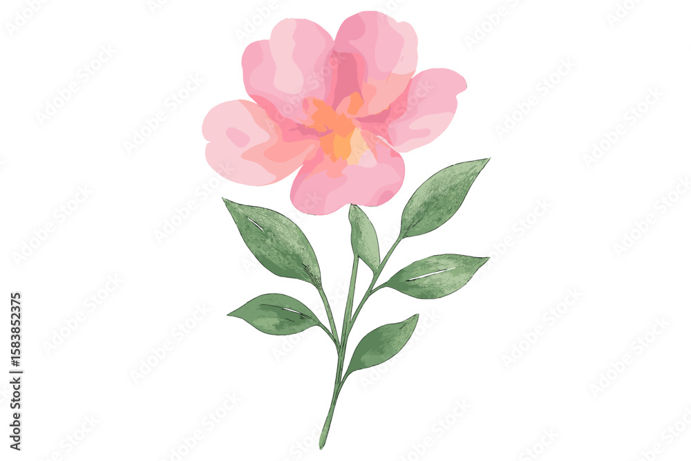 Delicate pink and yellow watercolor flower with green branch. Hand-painted botanical illustration. Isolated floral design element for spring, wedding invitation, or elegant card. Delicate pink and yellow watercolor flower with green branch. Hand-painted botanical illustration. Isolated floral design element for spring, wedding invitation, or elegant card.