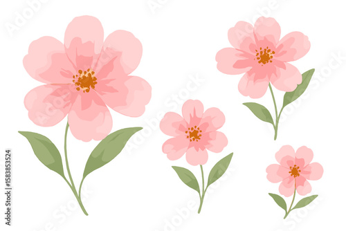 Watercolor Pink Flowers Clipart Set, Transparent Background, Hand Painted Floral Vector Illustration Collection, Multiple Blossom Sizes, Botanical Art, Spring Decoration, PNG and Vector Elements