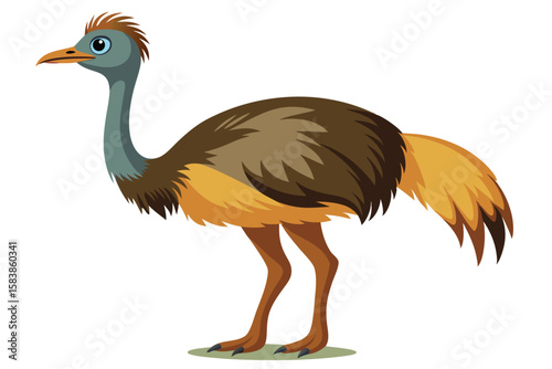 Cartoon Illustration of a Cassowary Bird in Profile on White Background