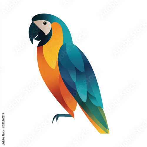 paloma isolated in White Background, paloma vector, Flat lay vector illustration