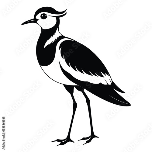 Elegant Lapwing Bird Illustration with Striking Black and White Silhouette Style Design