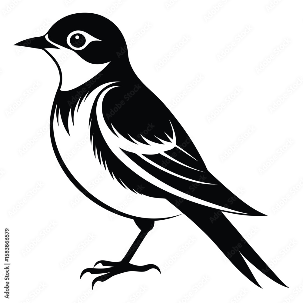 Naklejka premium Elegant Black and White Illustration of a Songbird with Detailed Feather Markings and Sleek Design